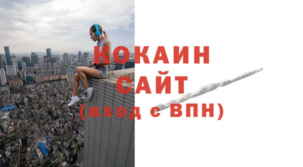 ешки Алексин