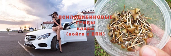 ешки Алексин