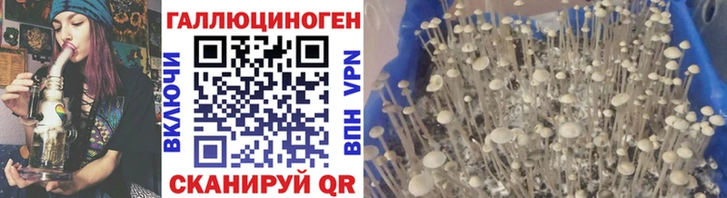 Галлюциногенные грибы мицелий  Цивильск 